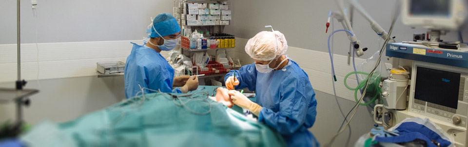 L'unité de Chirurgie Ambulatoire du CHu de Nice est centrée avant tout sur le patient et peut recouvrir des actes de haute technicité