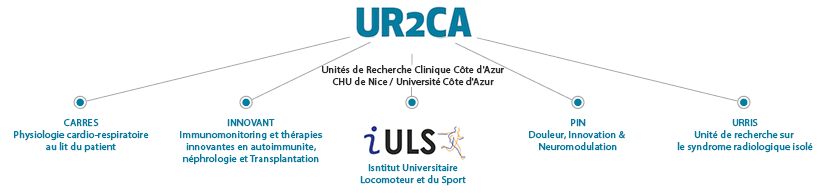 L'IULS fait partie de l'Unité de Recherche Clinique Côte d'Azur (UR2CA) de l'EUR HEALTHY de l'université Côte d'Azur.