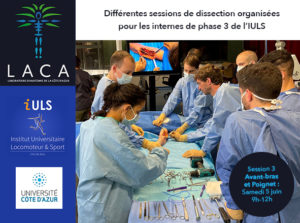 Sessions de dissections R3C phase socle dans le laboratoire de la Faculté de médecine à Nice