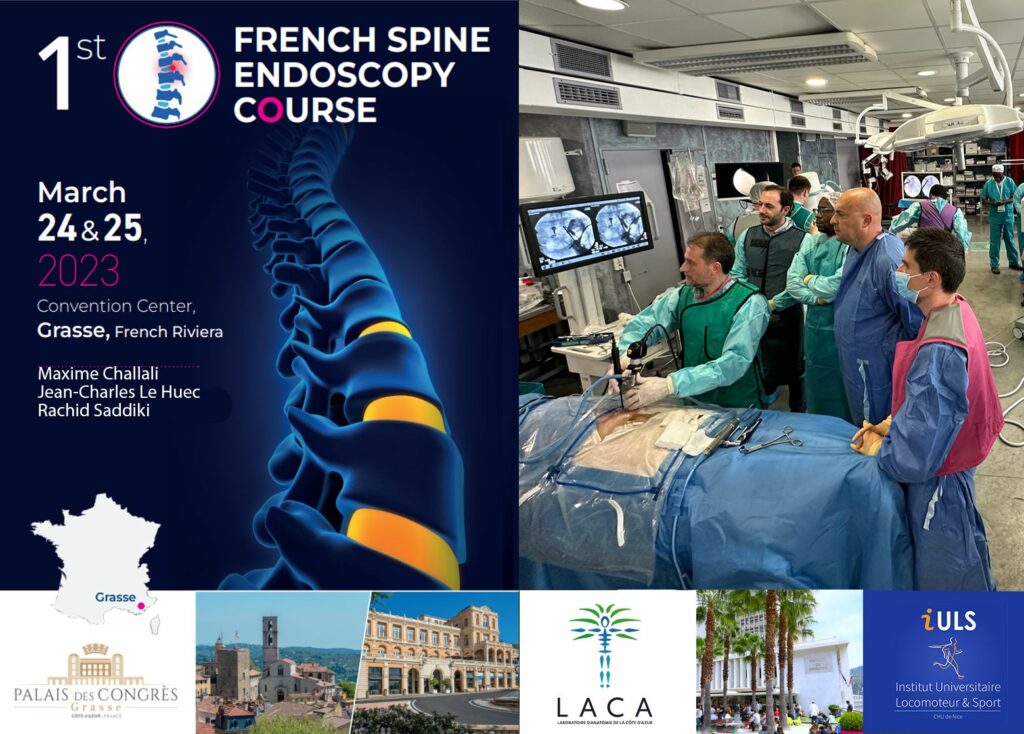 French Spine Endoscopy Course